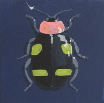 Black and green flea beetle