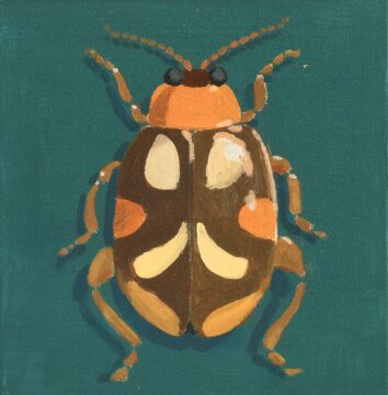 Brown and ochre flea beetle