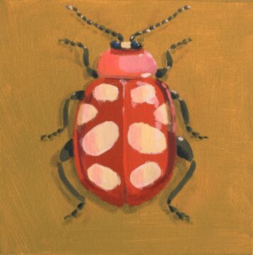 Red and white flea beetle