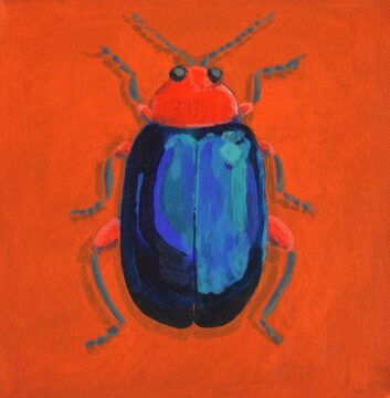 Irridescent blue flea beetle